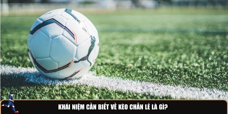 Khái niệm cần biết về kèo chẵn lẻ