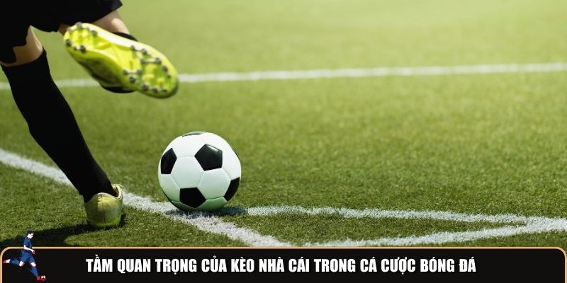 Tầm quan trọng của kèo nhà cái trong cá cược bóng đá
