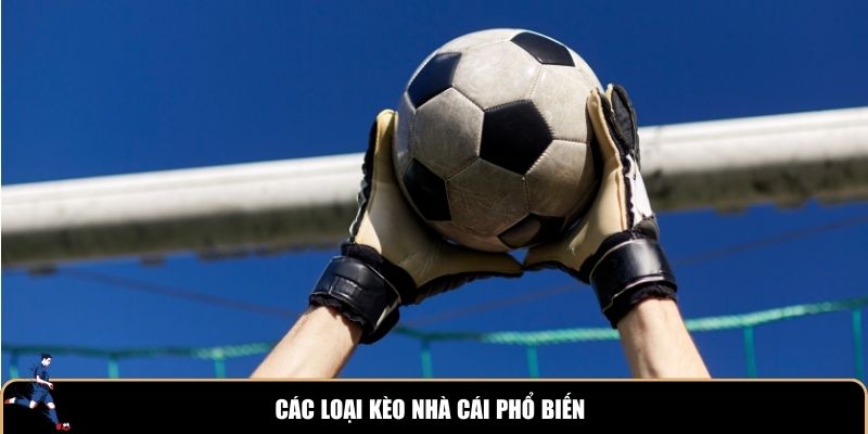 Khám Phá Thế Giới keo nha cai 5 - Cách Chơi Và Kinh Nghiệm Thành Công