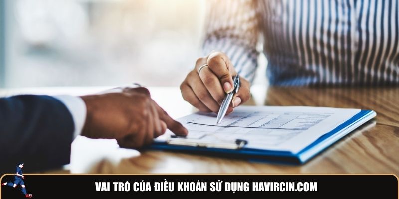 Vai trò của điều khoản sử dụng havircin.com