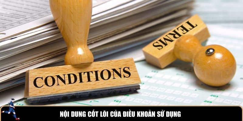 Chi tiết cốt lõi của điều khoản sử dụng