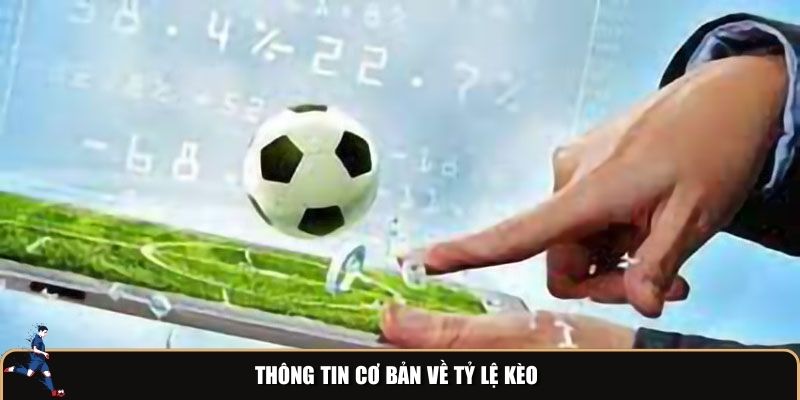 Thông tin cơ bản về tỷ lệ kèo